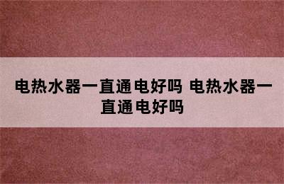 电热水器一直通电好吗 电热水器一直通电好吗